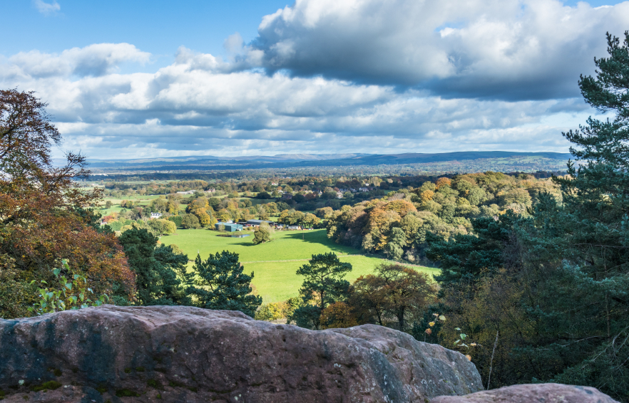 Carousel Desktop Walks