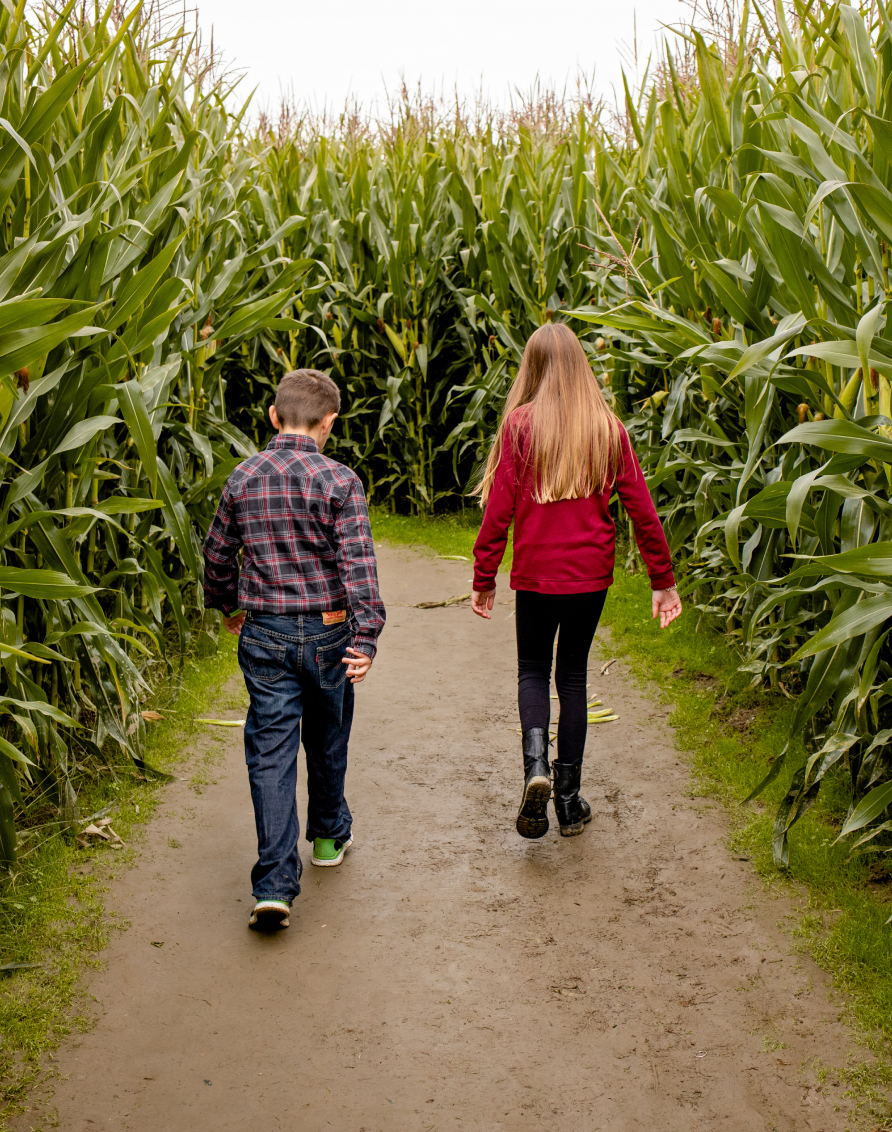 Crosssell Desktop Primary CTA 2 (Ttd Families)