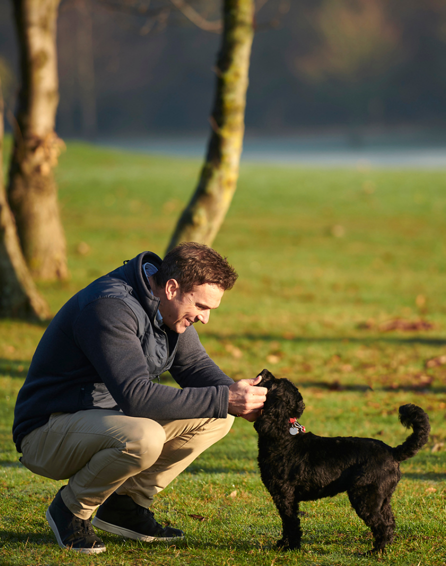 Crosssell Desktop Primary CTA 2 (Walks)