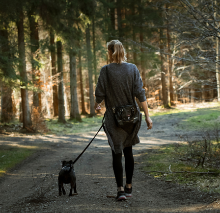 <strong>WALKS IN CHESHIRE</strong>