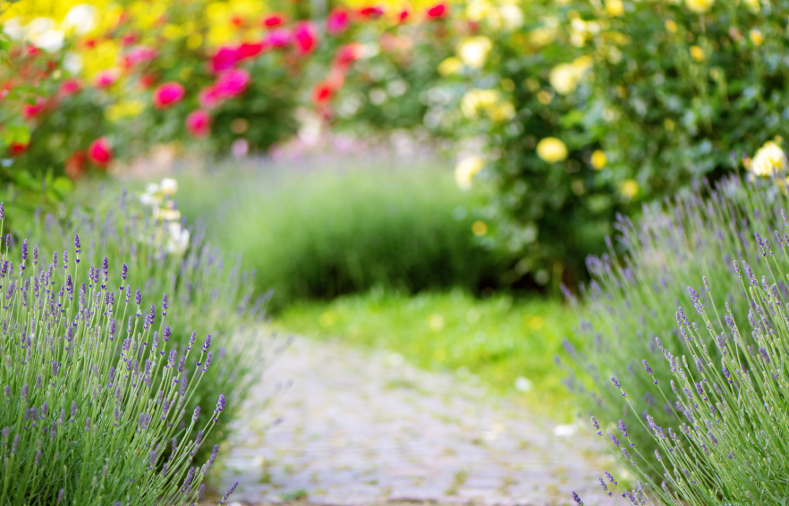 Carousel Desktop Ttdwarrington