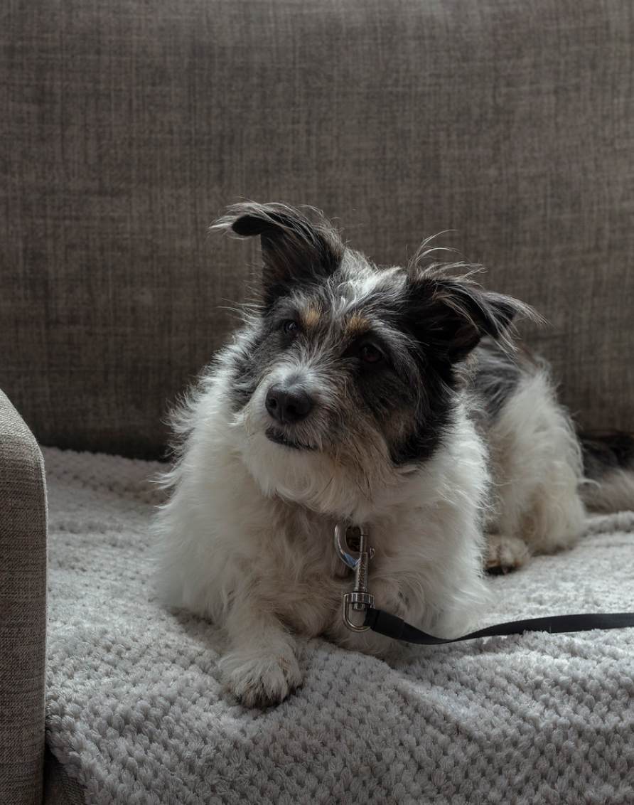 Crosssell Desktop Primary CTA 1 (Policy)