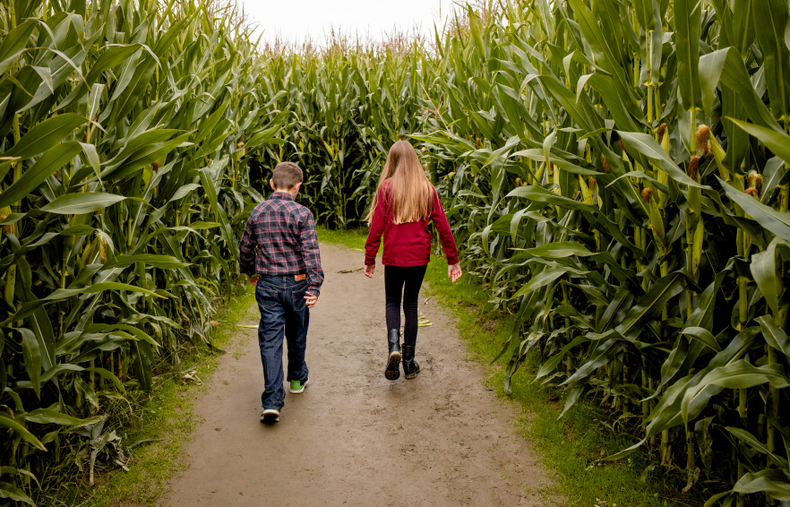 Carousel Desktop Ttdfamilies