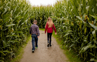 Carousel Desktop Ttdfamilies