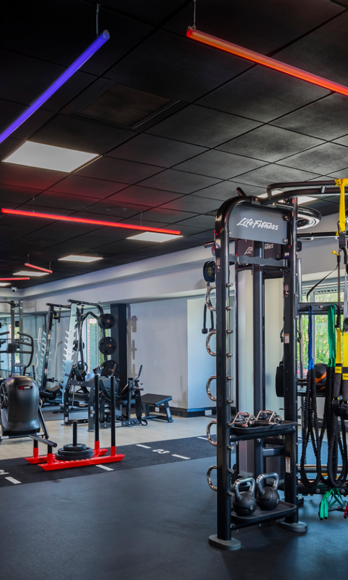 HEALTH CLUB